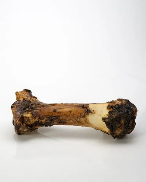 1ea Butcher's Prime Bam Bam (Full Front Shank Beef Bone) - Health/First Aid